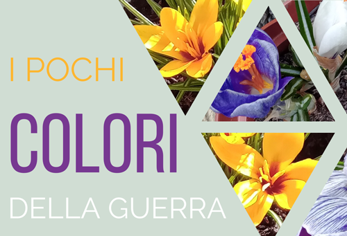 I pochi colori della guerra